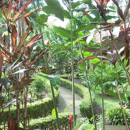 La Palapa Ecolodge Portalón Dış mekan fotoğraf