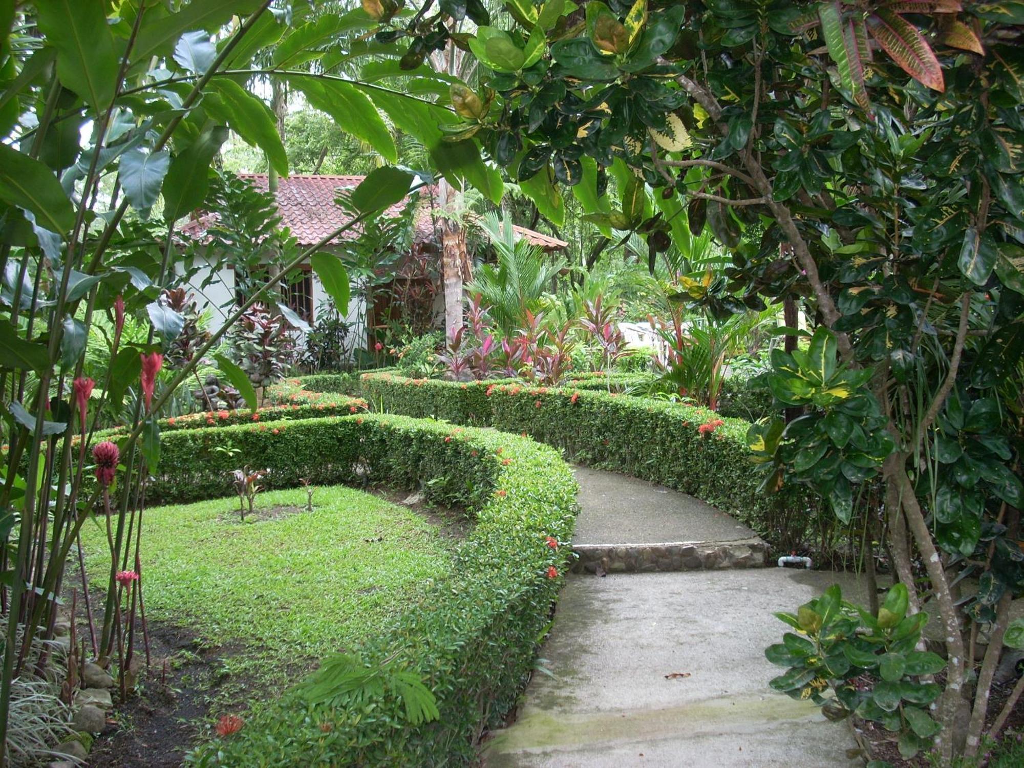 La Palapa Ecolodge Portalón Dış mekan fotoğraf