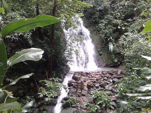La Palapa Ecolodge Portalón Dış mekan fotoğraf
