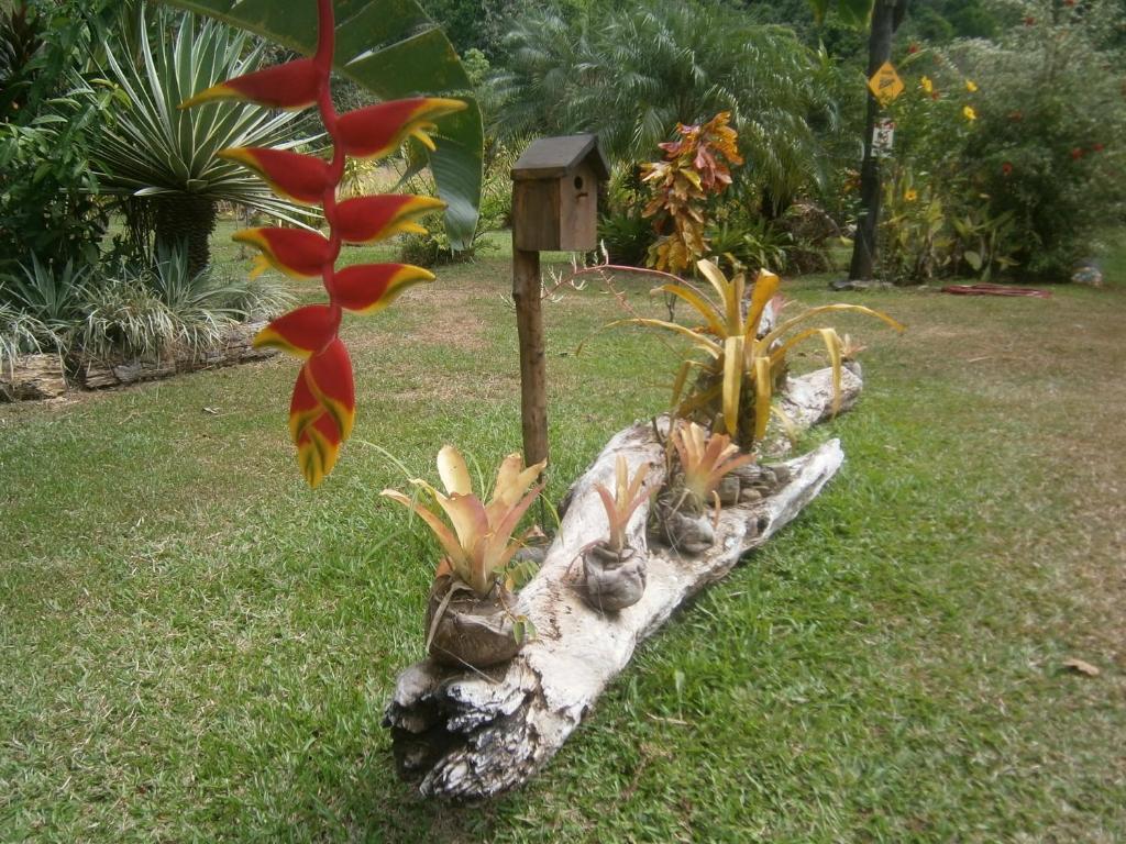 La Palapa Ecolodge Portalón Dış mekan fotoğraf