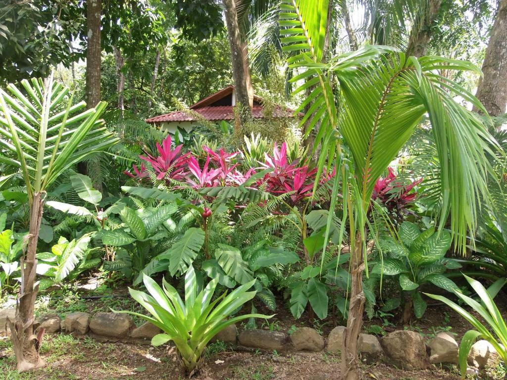 La Palapa Ecolodge Portalón Dış mekan fotoğraf
