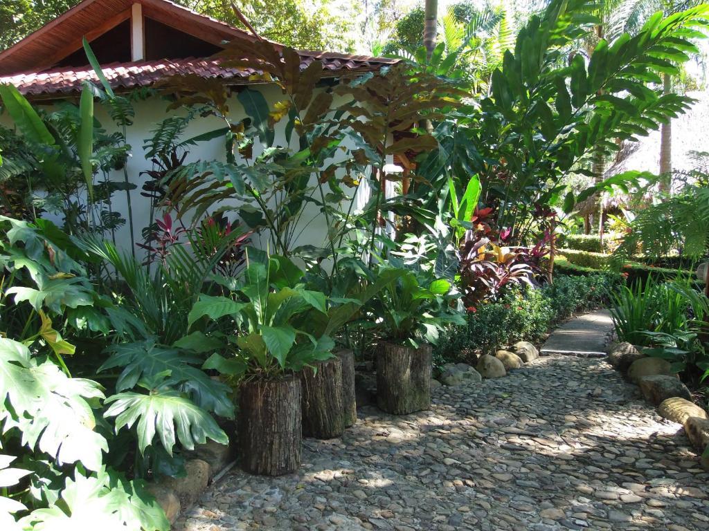 La Palapa Ecolodge Portalón Dış mekan fotoğraf